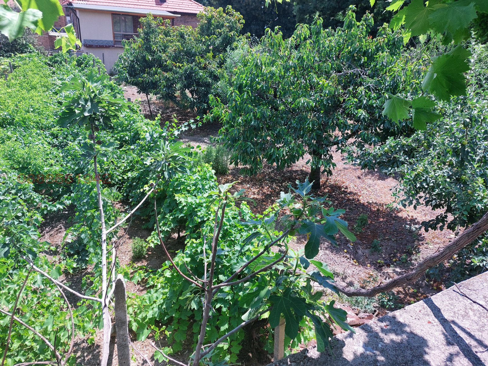 ������� ���� | Imot.bg � ����������� 6