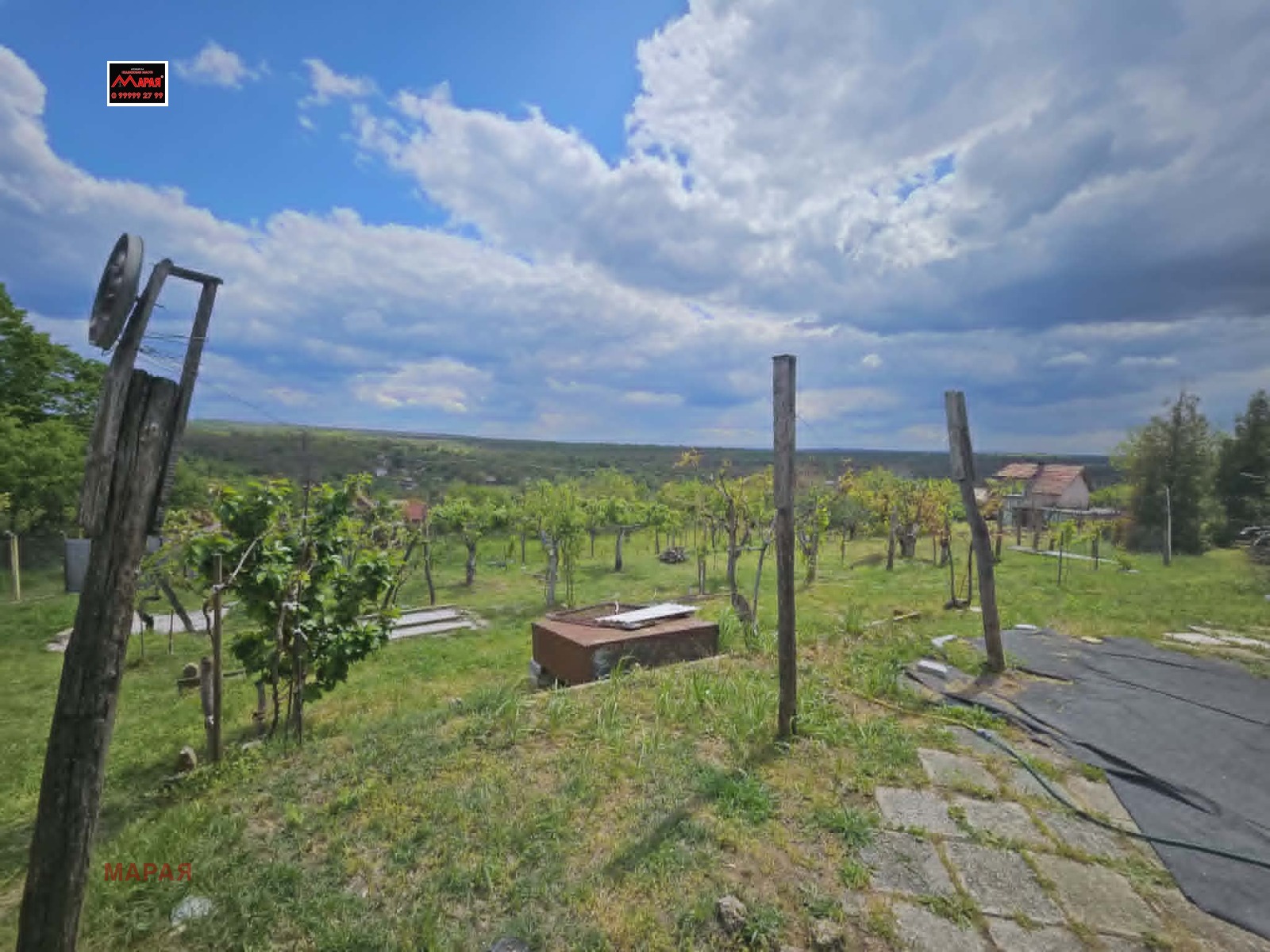������� ���� | Imot.bg � ����������� 13