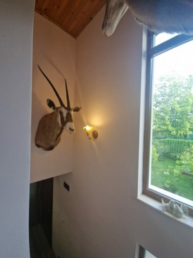 ������� ���� | Imot.bg � ����� ������ 12