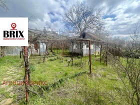 ������ ������� ������