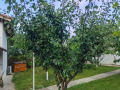 Продава  Къща област Добрич , с. Паскалево , 100 кв.м | 48021567 - изображение [5]