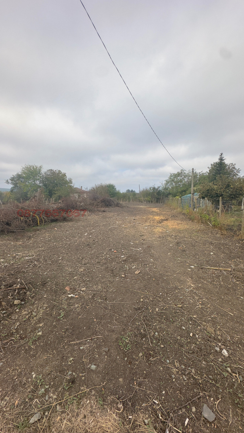 Продава ПАРЦЕЛ, с. Тръстиково, област Бургас, снимка 7 - Парцели - 52784461
