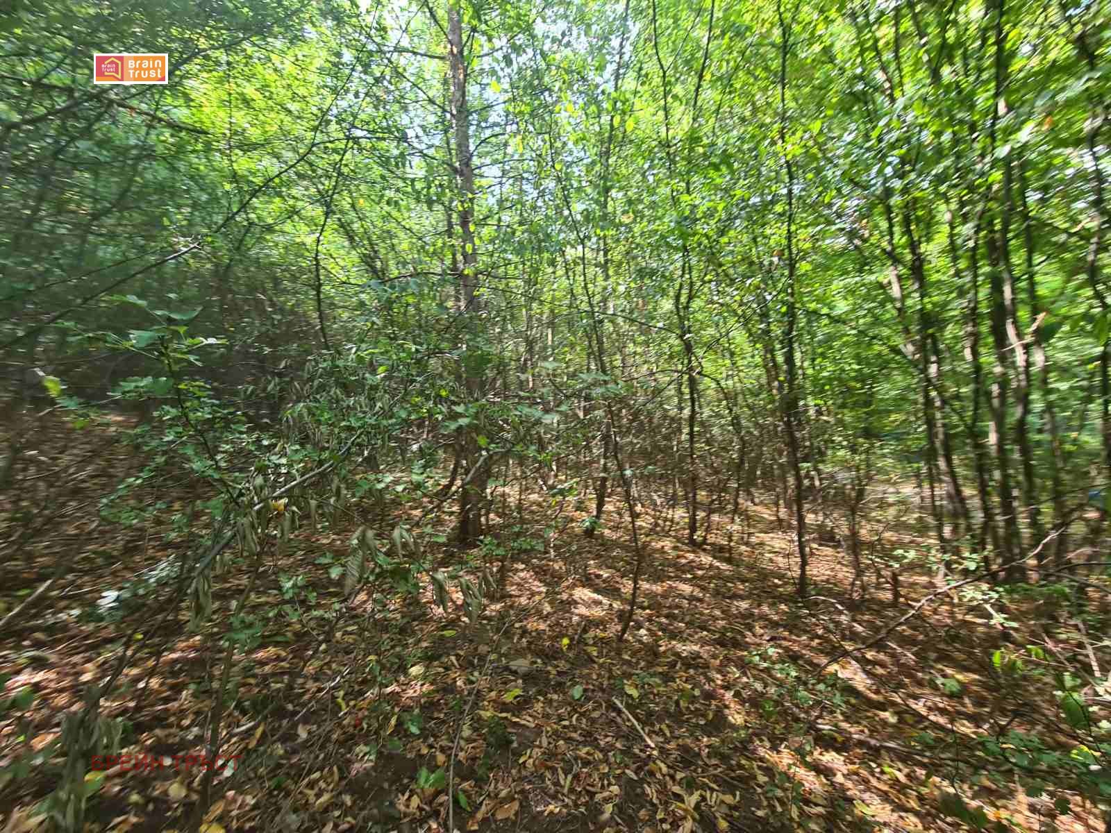 Продава ПАРЦЕЛ, гр. София, Бояна, снимка 2 - Парцели - 45400278
