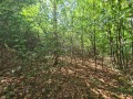 Продава ПАРЦЕЛ, гр. София, Бояна, снимка 2