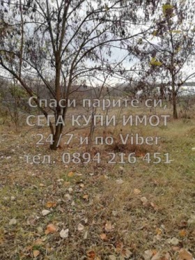   | Imot.bg    6