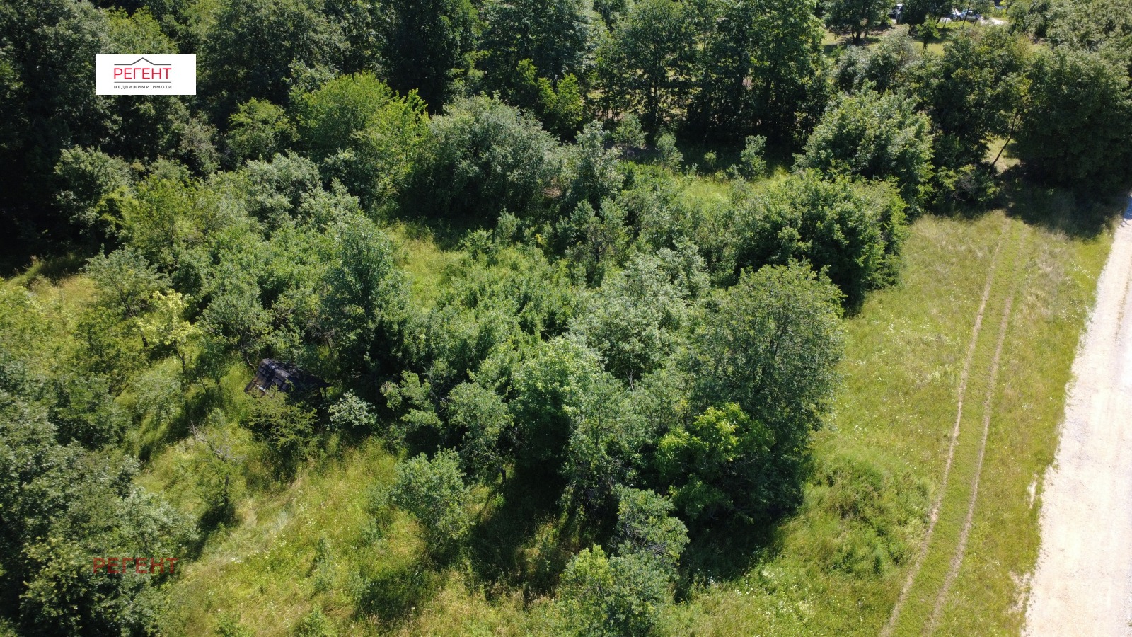 Продава ПАРЦЕЛ, с. Поповци, област Габрово, снимка 2 - Парцели - 53097501