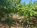 Продава КЪЩА, гр. Стара Загора, м-т Беш Бунар, снимка 2