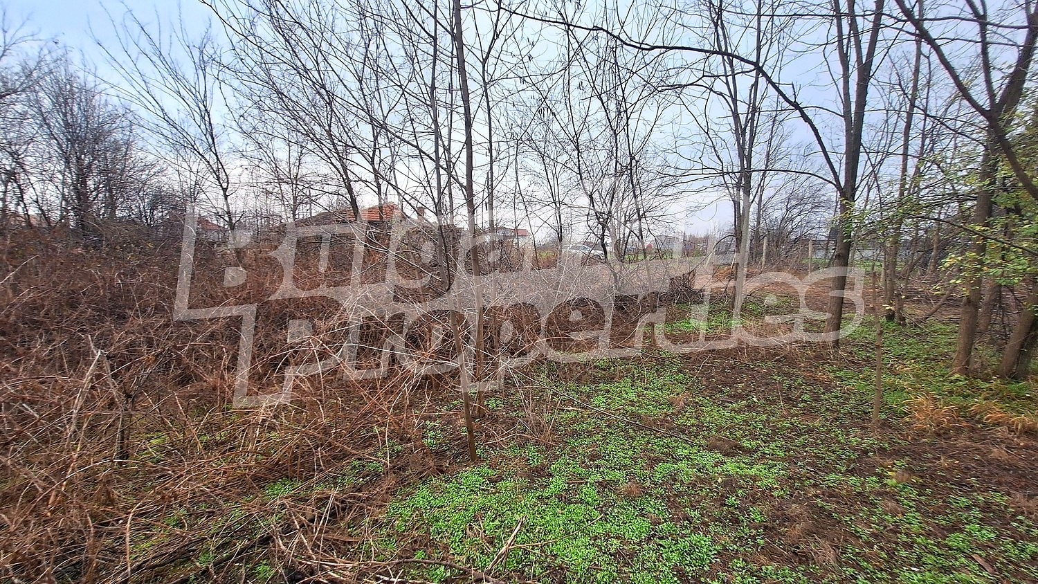 ������� ������ | Imot.bg � ����������� 11