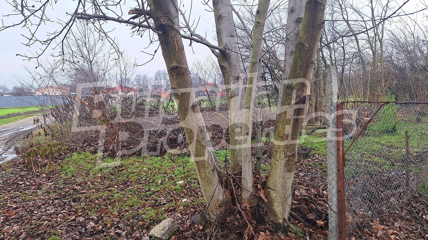 ������� ������ | Imot.bg � ����������� 8