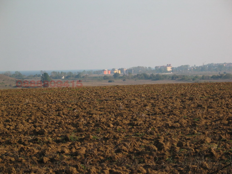 For Sale  Plot region Varna , Byala , 6000 sq.m | 35510094