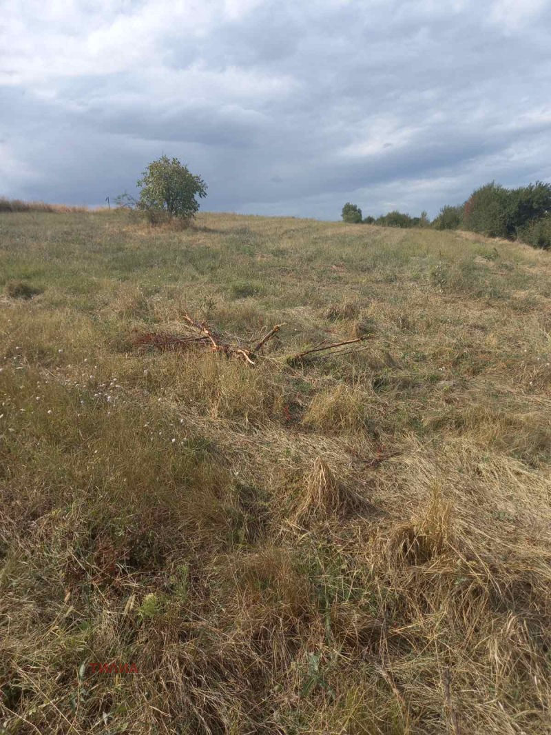 Продава ПАРЦЕЛ, с. Прилеп, област Добрич