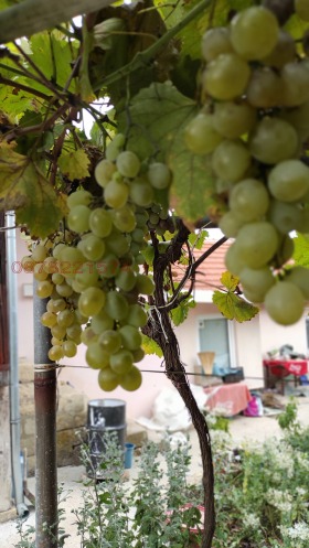 ������� ���� | Imot.bg � ����� ������ 12