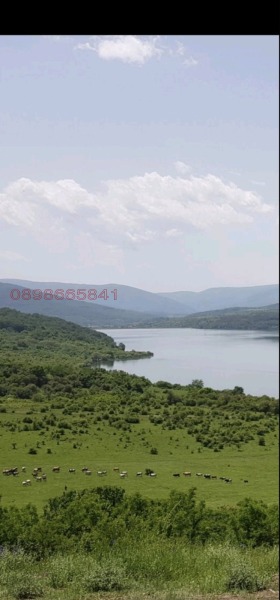 ����� ������� ���������� ����,�. ������, ������ ������