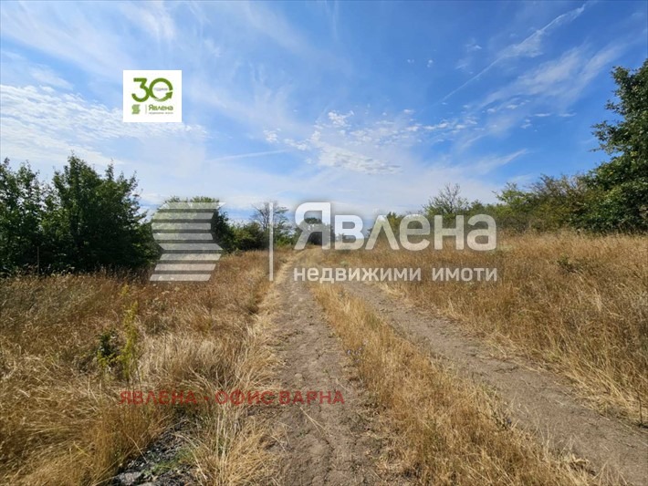 Продава ПАРЦЕЛ, с. Бенковски, област Варна, снимка 4 - Парцели - 55956828