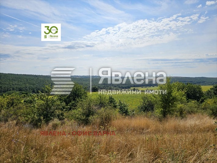 Продава ПАРЦЕЛ, с. Бенковски, област Варна, снимка 3 - Парцели - 55956828
