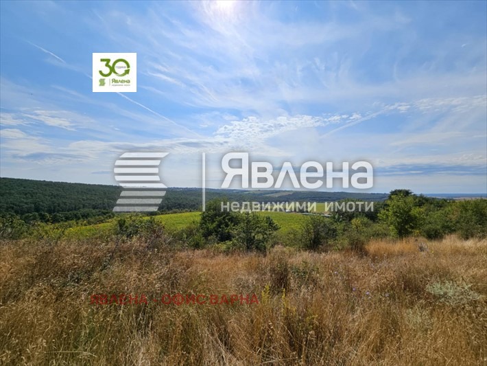 Продава ПАРЦЕЛ, с. Бенковски, област Варна, снимка 2 - Парцели - 55956828