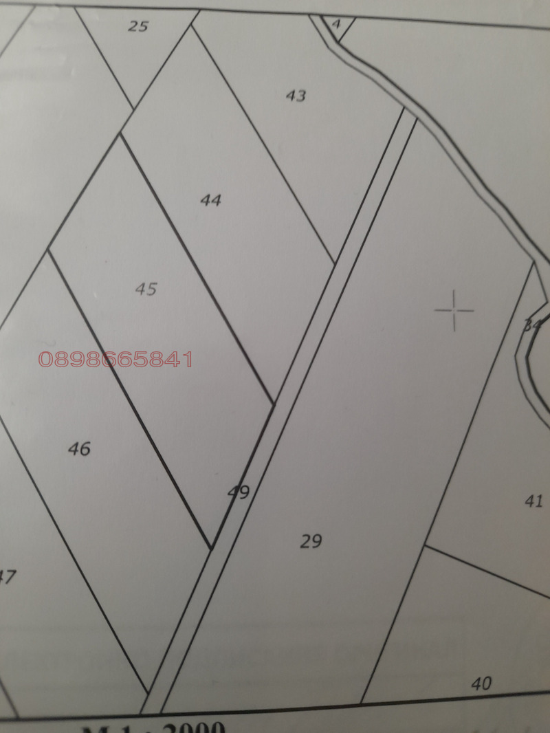 Продава ЗЕМЕДЕЛСКА ЗЕМЯ, с. Калище, област Перник, снимка 2 - Земеделска земя - 52970224