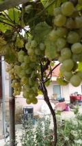 Продава КЪЩА, с. Широково, област Русе, снимка 12