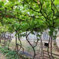 Продава КЪЩА, с. Широково, област Русе, снимка 9