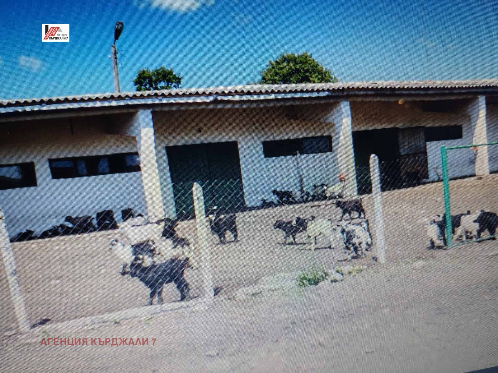 Продава ПРОМ. ПОМЕЩЕНИЕ, с. Соколяне, област Кърджали, снимка 6 - Производствени сгради - 55637424