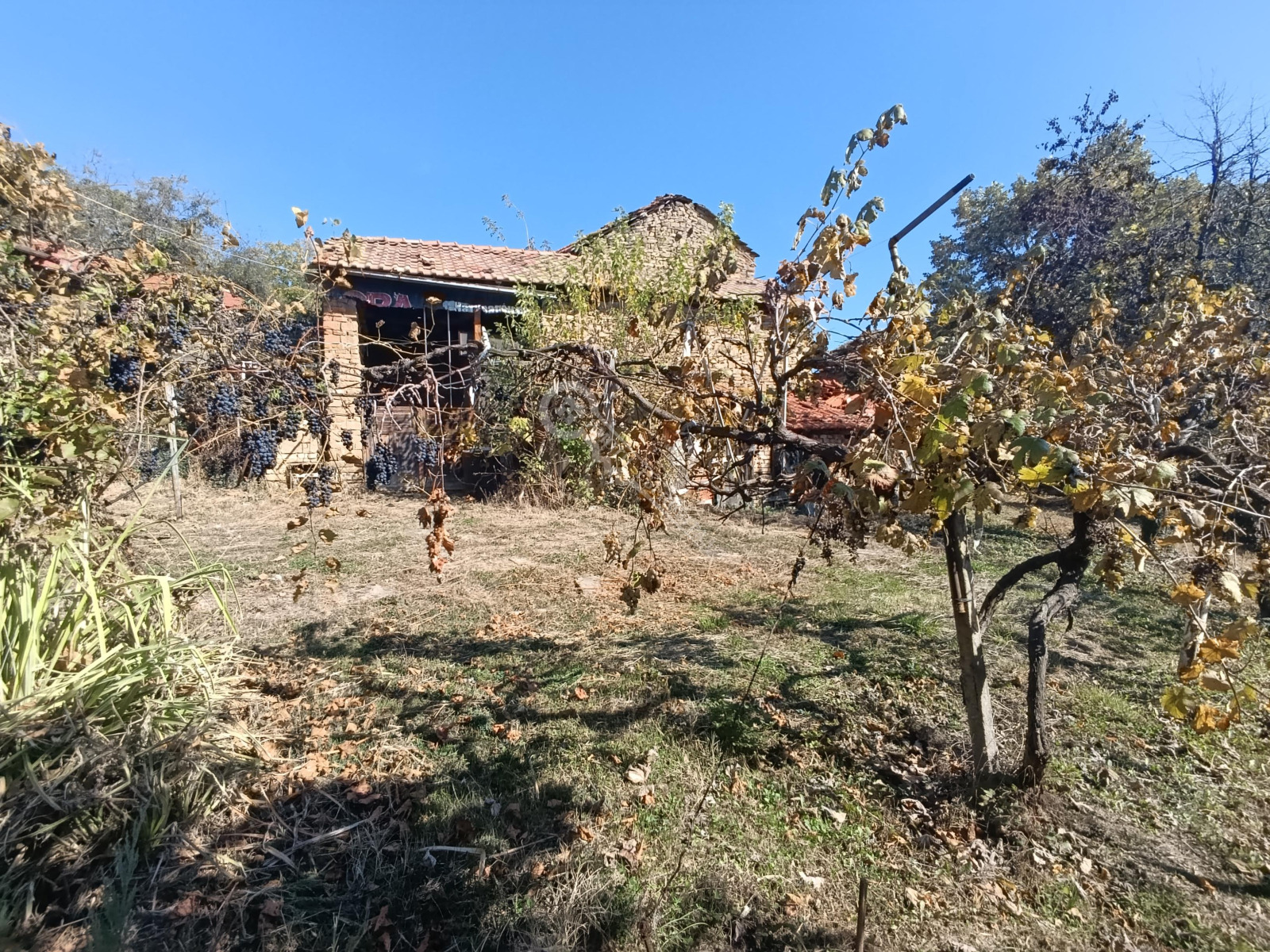 ������� ���� | Imot.bg � ����������� 4