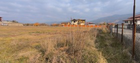 Plott Belitsa, region Blagoevgrad 8