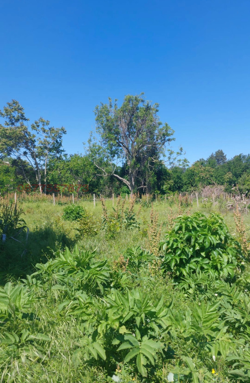 Продава ПАРЦЕЛ, с. Горан, област Ловеч, снимка 3 - Парцели - 52769838