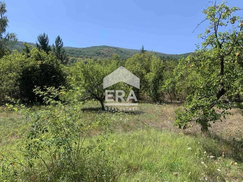 Till salu  Komplott region Sofia , Tjerniovo , 867 kvm | 45567402 - bild [3]