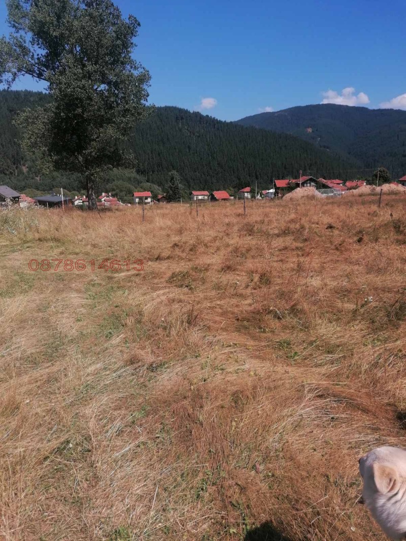 Продава ЗЕМЕДЕЛСКА ЗЕМЯ, с. Говедарци, област София област, снимка 3 - Земеделска земя - 52845576