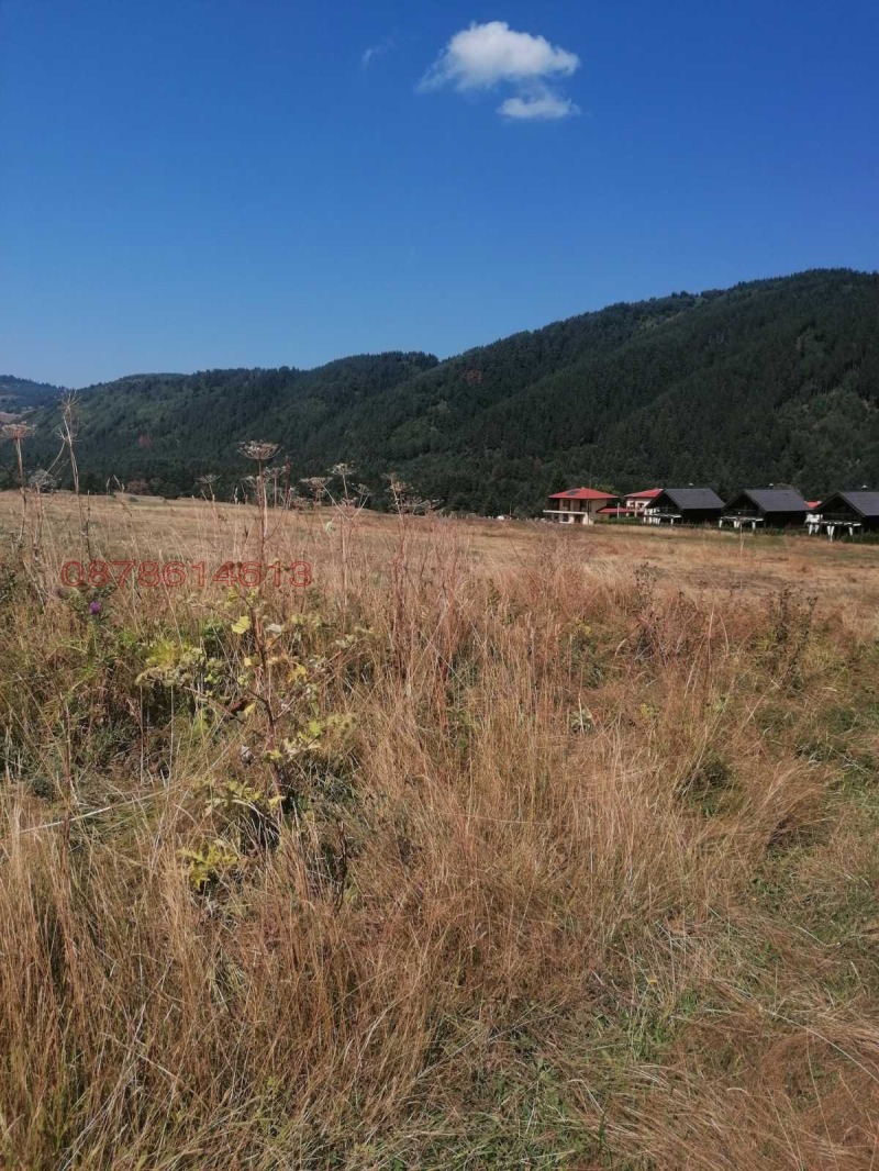 Продава ЗЕМЕДЕЛСКА ЗЕМЯ, с. Говедарци, област София област, снимка 2 - Земеделска земя - 52845576