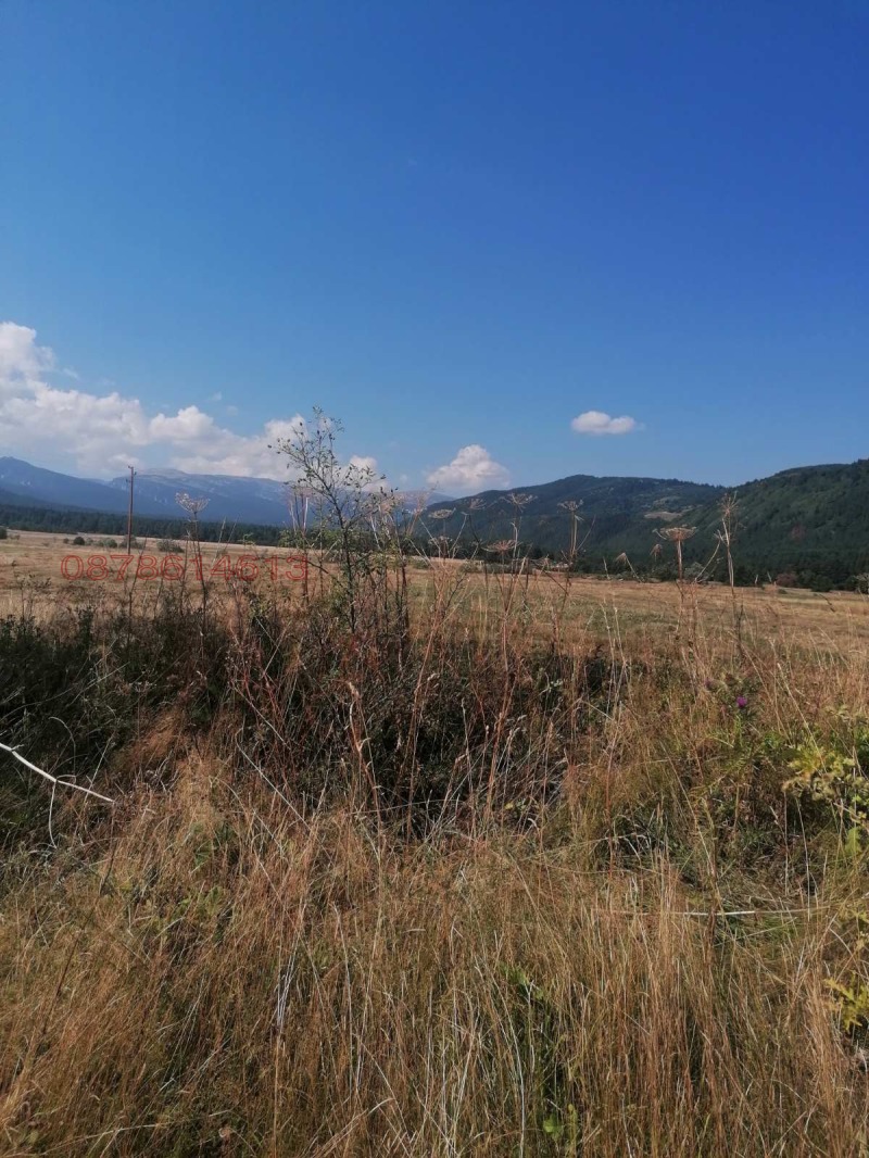 Продава ЗЕМЕДЕЛСКА ЗЕМЯ, с. Говедарци, област София област, снимка 4 - Земеделска земя - 52845576