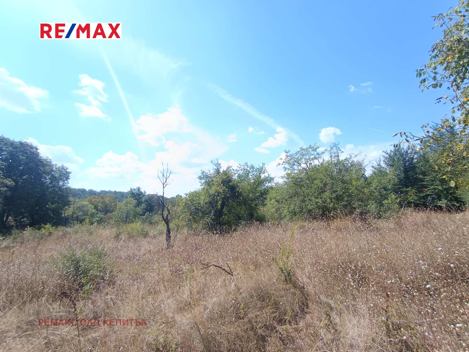 Продава ПАРЦЕЛ, с. Балванците, област Габрово, снимка 13 - Парцели - 55960867