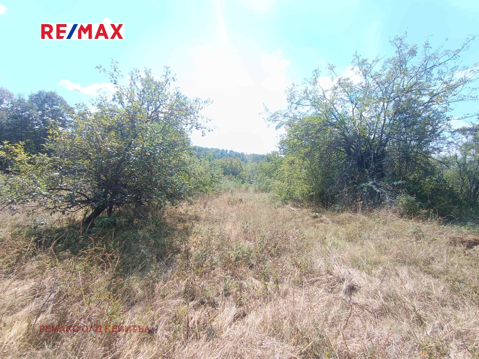 Продава ПАРЦЕЛ, с. Балванците, област Габрово, снимка 2 - Парцели - 55960867