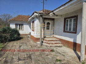 ������ ������� ����