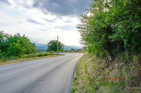 Grund Torbalazhite, region Gabrovo 7