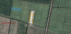 ������ ������� ������