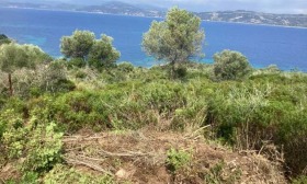 ������� ������ | Imot.bg � ����� ������ 12