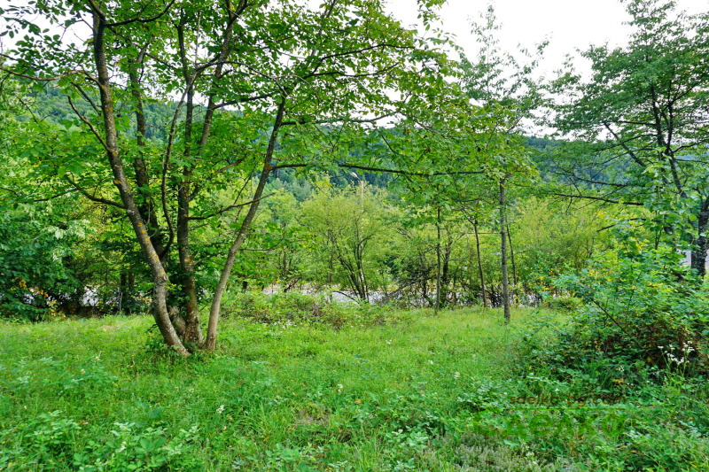 For Sale  Plot region Gabrovo , Torbalazhite , 1274 sq.m | 97428545 - image [4]