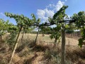 Продава КЪЩА, област Сливен, с. Радево • 20000 € / 39116.60 лв. • 32102613 4