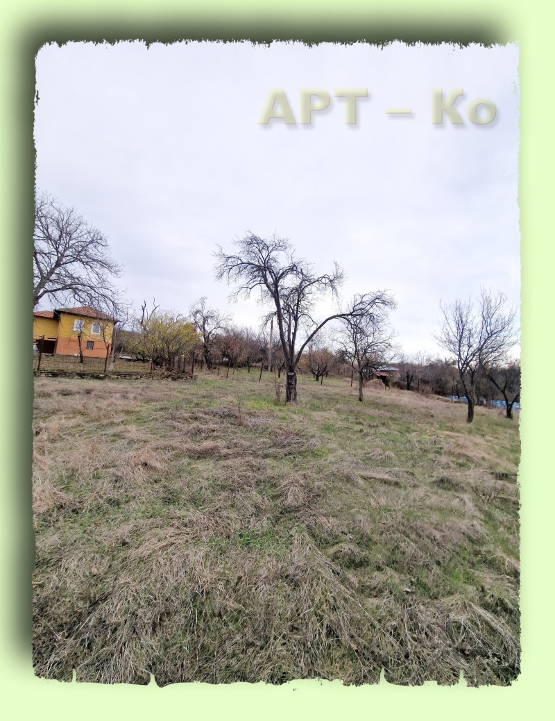 Продава ПАРЦЕЛ в област Перник, с. Прибой - 2600 кв.м / 17 895.22 € » 35 000 лв., АРТ-КО