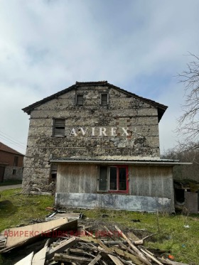 ������ ������� ����