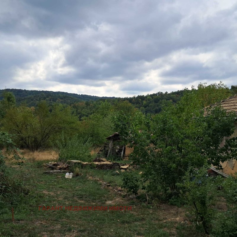Eladó  Ház régió Gabrovo , Csernevci , 93 négyzetméter | 23381695 - kép [11]