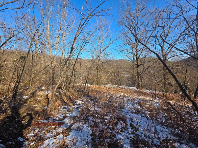 Продава ПАРЦЕЛ, гр. Троян, област Ловеч, снимка 2 - Парцели - 53165820