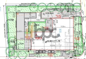 ����� ������� �������,���� �����, ����������