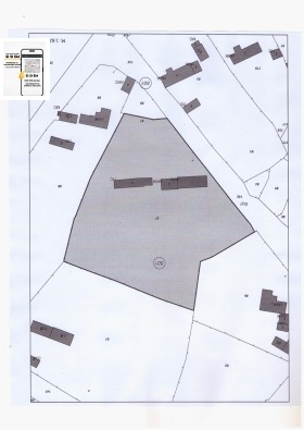 ����� ������� ������,�. ����������, ������ ������