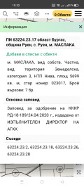 Продава ЗЕМЕДЕЛСКА ЗЕМЯ, с. Руен, област Бургас, снимка 10