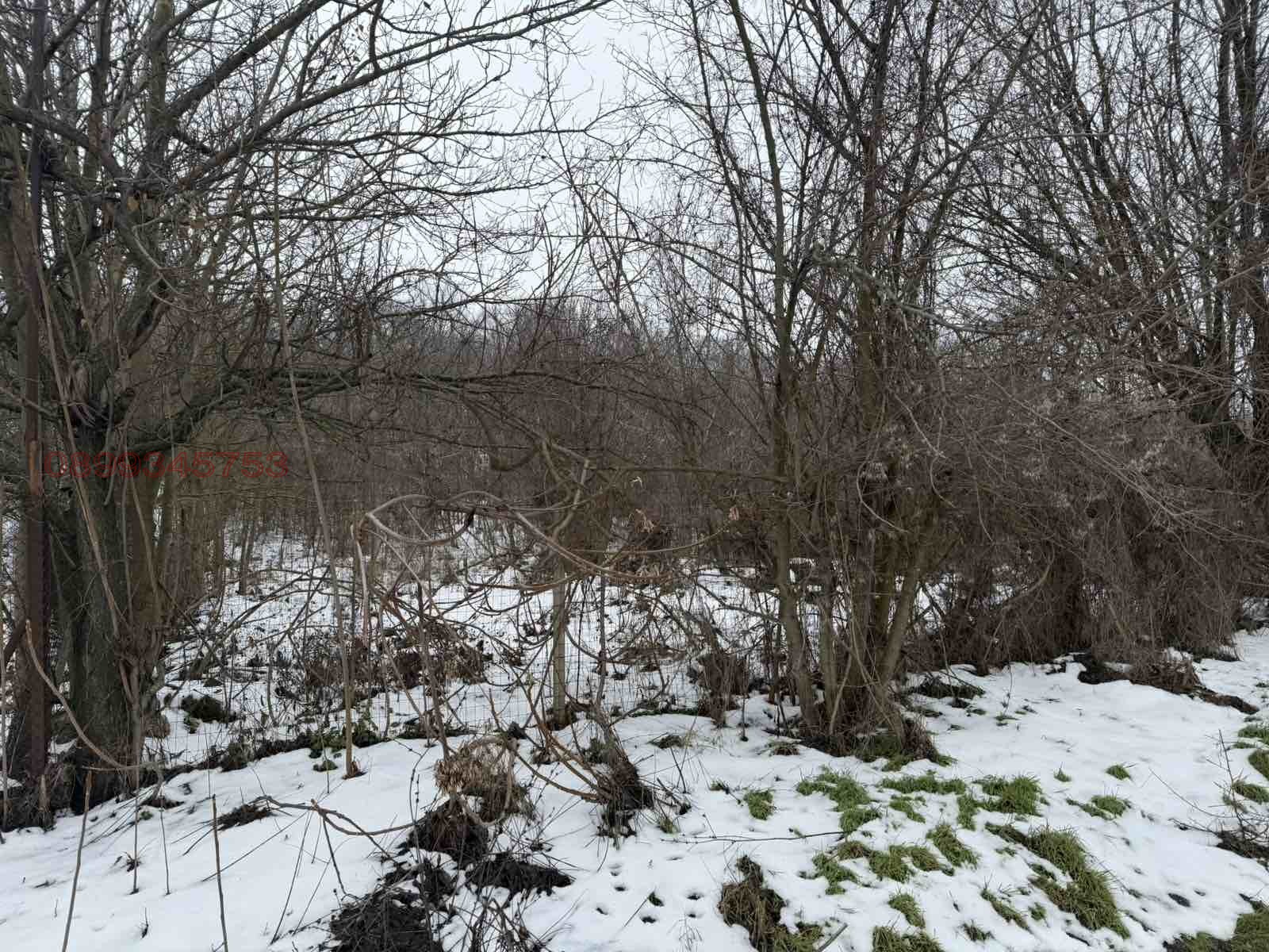 ������� ������ | Imot.bg � ����������� 2