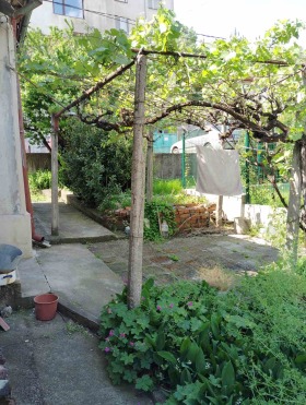Casa Tsentar, Jaskovo 9