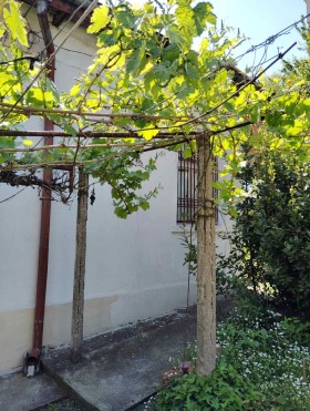 Casa Tsentar, Jaskovo 13