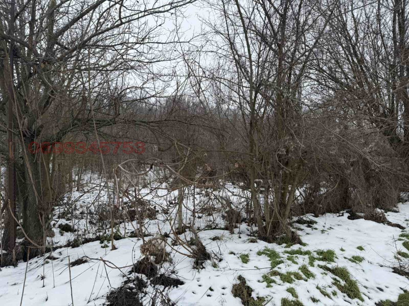 Продава ПАРЦЕЛ, с. Калипетрово, област Силистра, снимка 2 - Парцели - 53492888